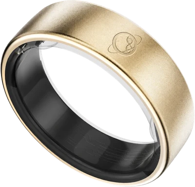 Omnisio Ring, gold
