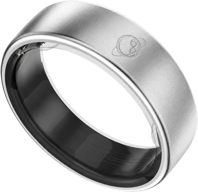Omnisio Ring, silver